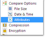 Profile Setup: Attributes: click to enlarge