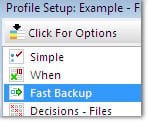 Profile Setup: Fast Backup: click to enlarge